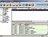 Free Download Manager v3.8 Release Candidate 썸네일